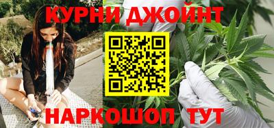 молекула духа Будённовск