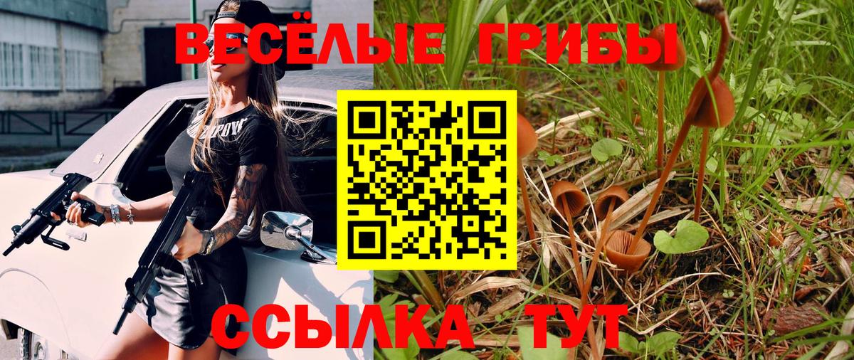 Галлюциногенные грибы мухоморы  Вход с VPN  Новокуйбышевск  Галлюциногенные грибы MAGIC MUSHROOMS 