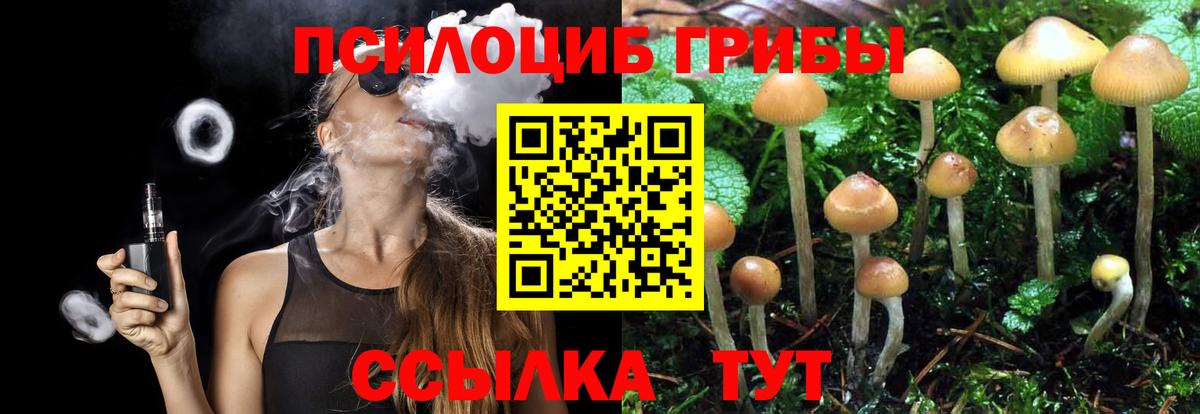Псилоцибиновые грибы прущие грибы Новокуйбышевск